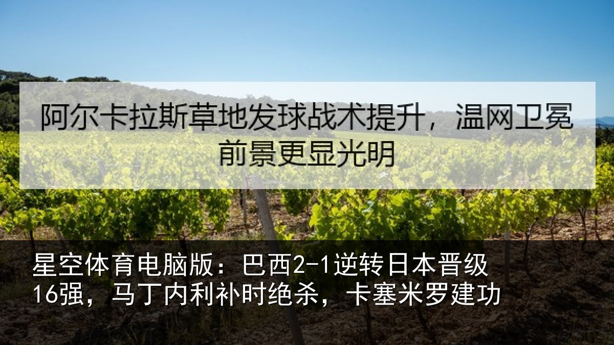 星空体育电脑版:巴西相关情况丁内相关情况罗建功