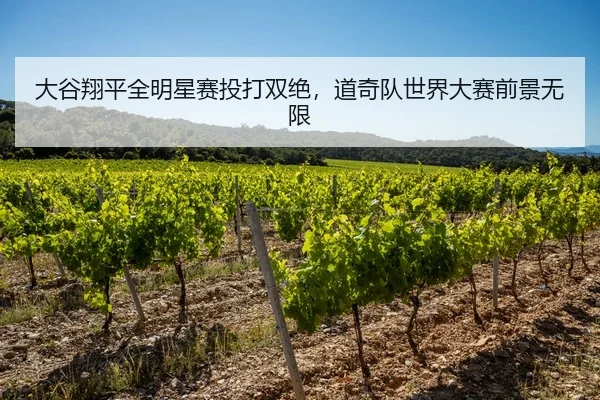 大谷翔平全明星赛投打双绝，道奇队世界大赛前景无限