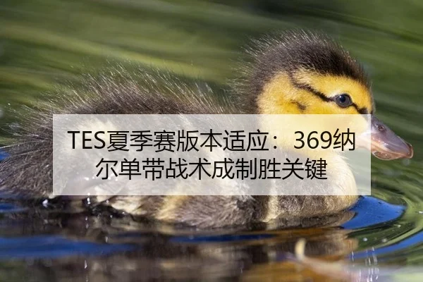 TES夏季赛版本适应：369纳尔单带战术成制胜关键