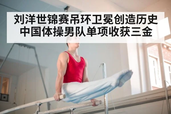 parallel bars gymnastics